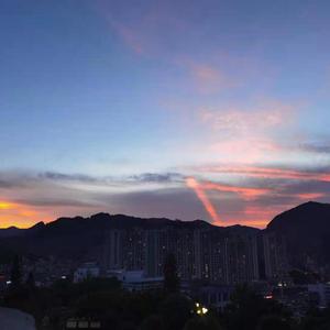 黄电影一级视频
