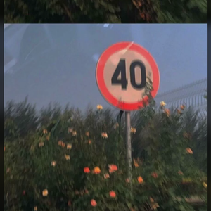 黄电影一级视频
